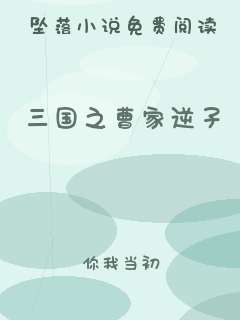 三国之曹家逆子